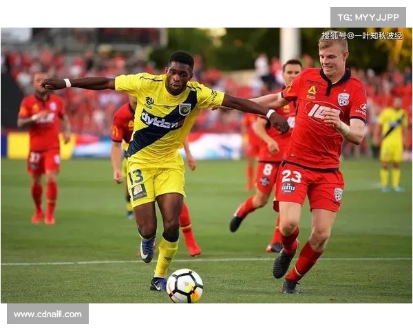 2019澳洲杯阿德莱德联队夺冠辉煌瞬间回顾